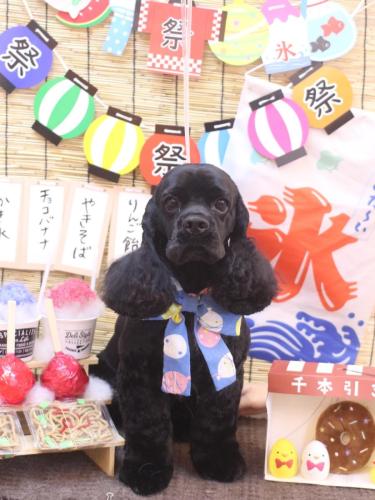 20240704そらくん